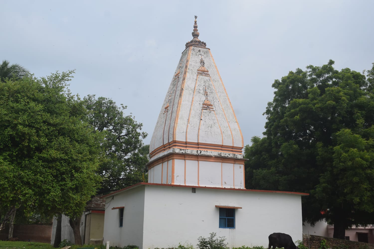 Nagar Panchayat Gola Bazar